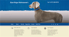Desktop Screenshot of blueridgeweimaraners.com